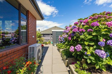 Photo of property in 280a Otipua Road, Highfield, Timaru, 7910