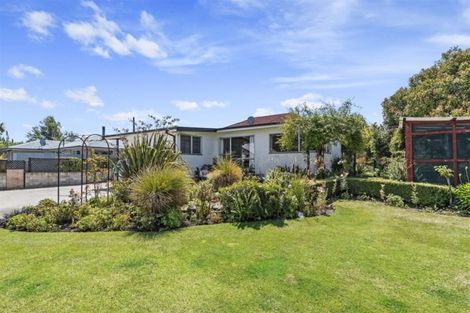 Photo of property in 49 Cridland Street East, Kaiapoi, 7630