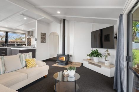 Photo of property in 6 Clyde Street, Renwick, 7204