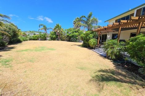 Photo of property in 113 Cordyline Crescent, Matarangi, Whitianga, 3592