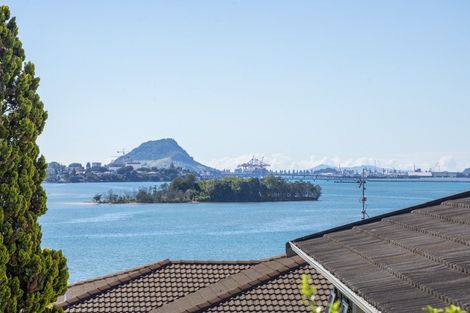 Photo of property in 64b Tutauanui Crescent, Maungatapu, Tauranga, 3112