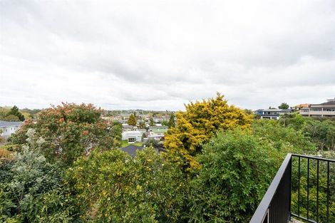 Photo of property in 15b Ridout Street, Maeroa, Hamilton, 3200