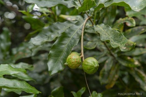 Photo of property in 579 Belk Road, Omanawa, Tauranga, 3171