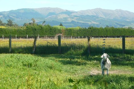 Photo of property in 52 Timaru Road, Waimate, 7924