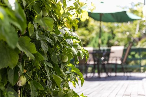 Photo of property in 10 Prestwick Place, Wattle Downs, Auckland, 2103