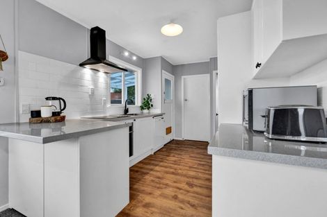 Photo of property in 66 Huatoki Street, Vogeltown, New Plymouth, 4310