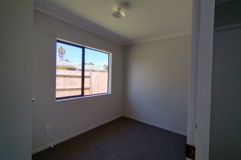Photo of property in 47 Solomon Street, Brookfield, Tauranga, 3110