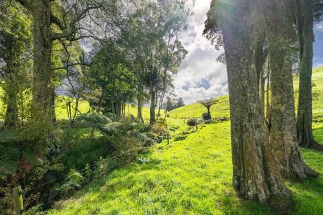 Photo of property in 554 Maungatawhiri Road, Raglan, 3295