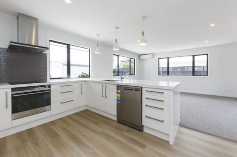 Photo of property in 93a Marne Street, Hokowhitu, Palmerston North, 4410