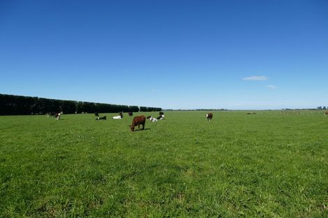 Photo of property in 149 Karanga Road, Dunsandel, Leeston, 7682