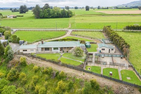 Photo of property in 382 Kimberley Road, Levin, 5571