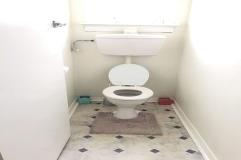 Photo of property in 45 Pacific Street, Roslyn, Dunedin, 9010