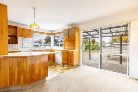 Photo of property in 38 Francis Drake Street, Waipukurau, 4200