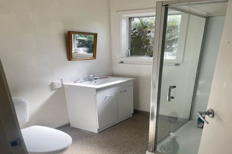 Photo of property in 145 Aro Street, Aro Valley, Wellington, 6021