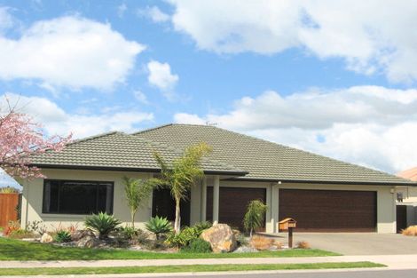 Photo of property in 118 Bethlehem Heights, Bethlehem, Tauranga, 3110