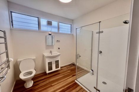 Photo of property in 142 The Ridgeway, Mornington, Wellington, 6021