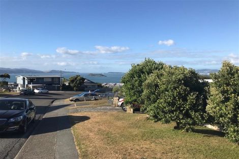 Photo of property in 105 Dowse Drive, Maungaraki, Lower Hutt, 5010