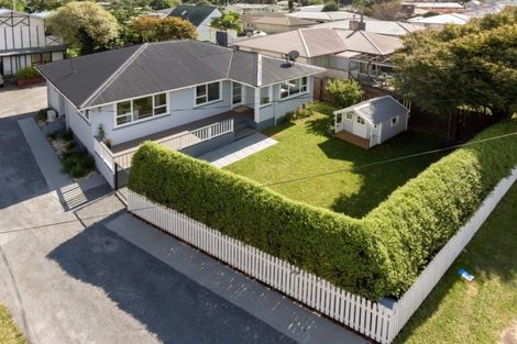 Photo of property in 53 Hall Road, Matua, Tauranga, 3110