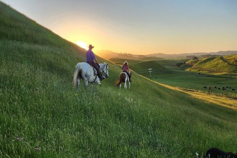 Photo of property in 964 Tarata Road, Kaimata, 4387