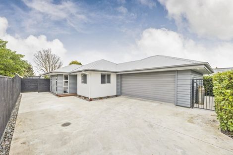 Photo of property in 96a Limbrick Street, Terrace End, Palmerston North, 4410