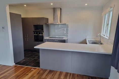 Photo of property in 399 Peachgrove Road, Fairfield, Hamilton, 3214