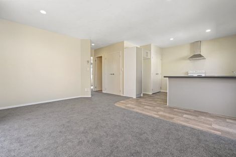 Photo of property in 34d York Street, Hamilton East, Hamilton, 3216