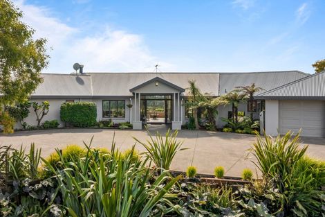 Photo of property in 77 Tender Road, Dairy Flat, Albany, 0794