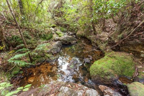 Photo of property in 125b Sailors Grave Road, Pumpkin Hill, Whitianga, 3591