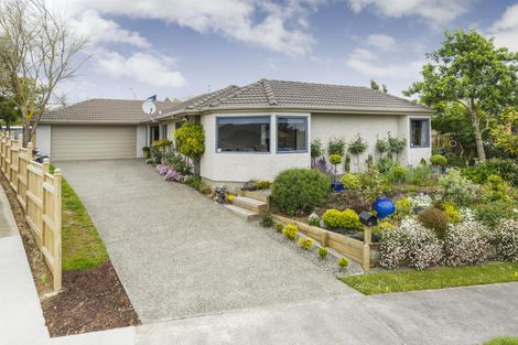 Photo of property in 5 Windsor Street, Terrace End, Palmerston North, 4410