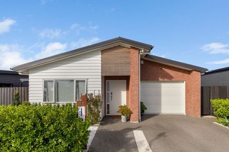 Photo of property in 22 Medland Place, Chartwell, Hamilton, 3210