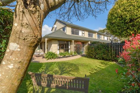 Photo of property in 2/81 Sixth Avenue, Tauranga, 3110