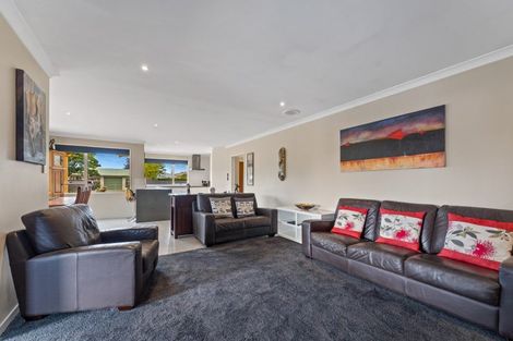 Photo of property in 7 Blairich View, Witherlea, Blenheim, 7201