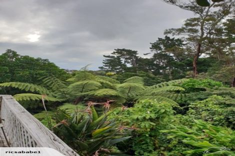 Photo of property in 22 Plunket Street, Durie Hill, Whanganui, 4500