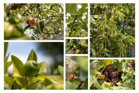 Photo of property in 123 Links Avenue, Mount Maunganui, 3116