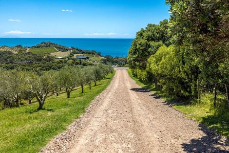 Photo of property in 25 Delamore Drive, Oneroa, Waiheke Island, 1081