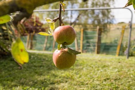 Photo of property in 8 Teal Avenue, Feilding, 4775