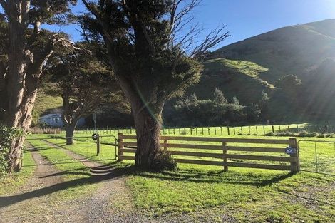 Photo of property in 243 Grays Road, Pauatahanui, Porirua, 5381