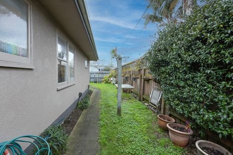 Photo of property in 51a Mcgrath Street, Napier South, Napier, 4110