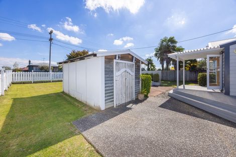 Photo of property in 390 Young Street, Te Awamutu, 3800