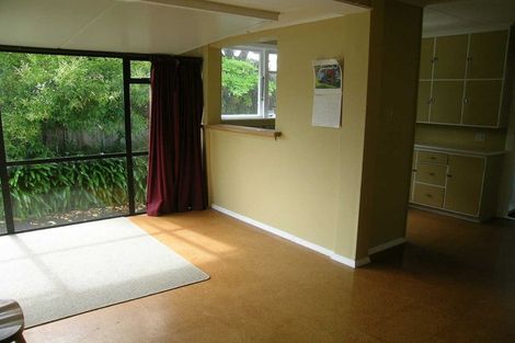 Photo of property in 96 Pahiatua Street, Hokowhitu, Palmerston North, 4410
