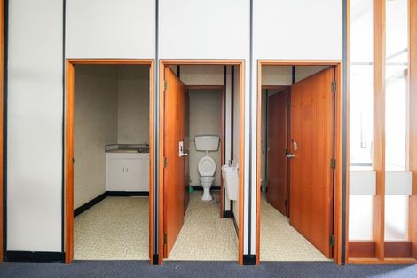 Photo of property in 24 Esk Street, Roslyn, Palmerston North, 4414