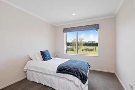 Photo of property in 201 Hollands Road, Tinwald, Ashburton, 7771