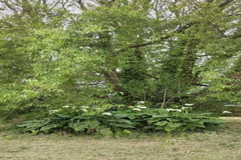 Photo of property in 86 Rangiuru Road, Otaki Beach, Otaki, 5512