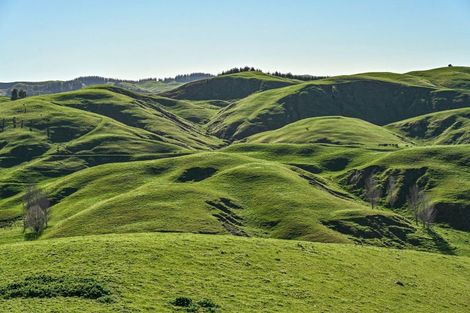Photo of property in 717 Puketitiri Road, Puketapu, Napier, 4182