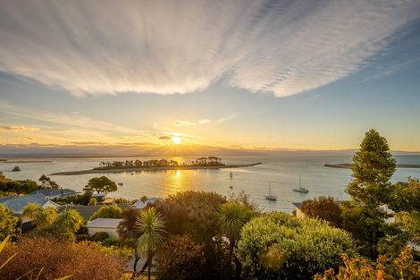 Photo of property in 15 Fifeshire Crescent, Stepneyville, Nelson, 7010