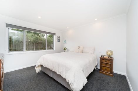 Photo of property in 33a Windsor Street, Terrace End, Palmerston North, 4410