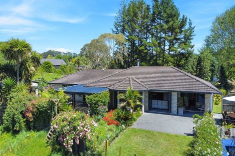 Photo of property in 131b Hogg Road, Rotoma, Whakatane, 3192