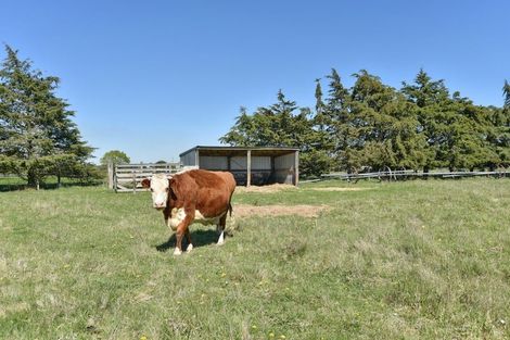 Photo of property in 606 Pesters Road, West Eyreton, Rangiora, 7475