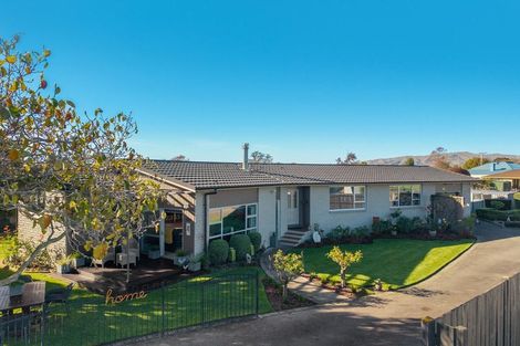 Photo of property in 67 Lakings Road, Yelverton, Blenheim, 7201