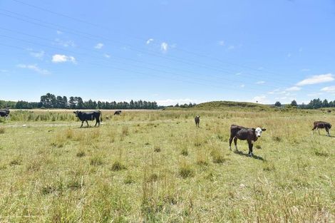 Photo of property in 8 Helmore Street, Rangiora, 7400